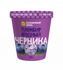 Здоровая семья черника бифидо * 270 гр 